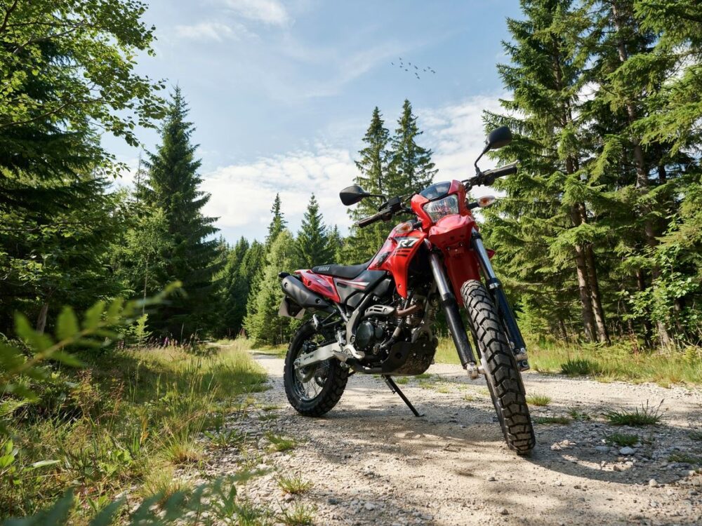 Quad na kat B Jakie przepisy obowiązują i które modele wybrać